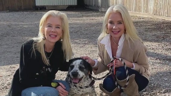 Sisters continue to support homeless animals