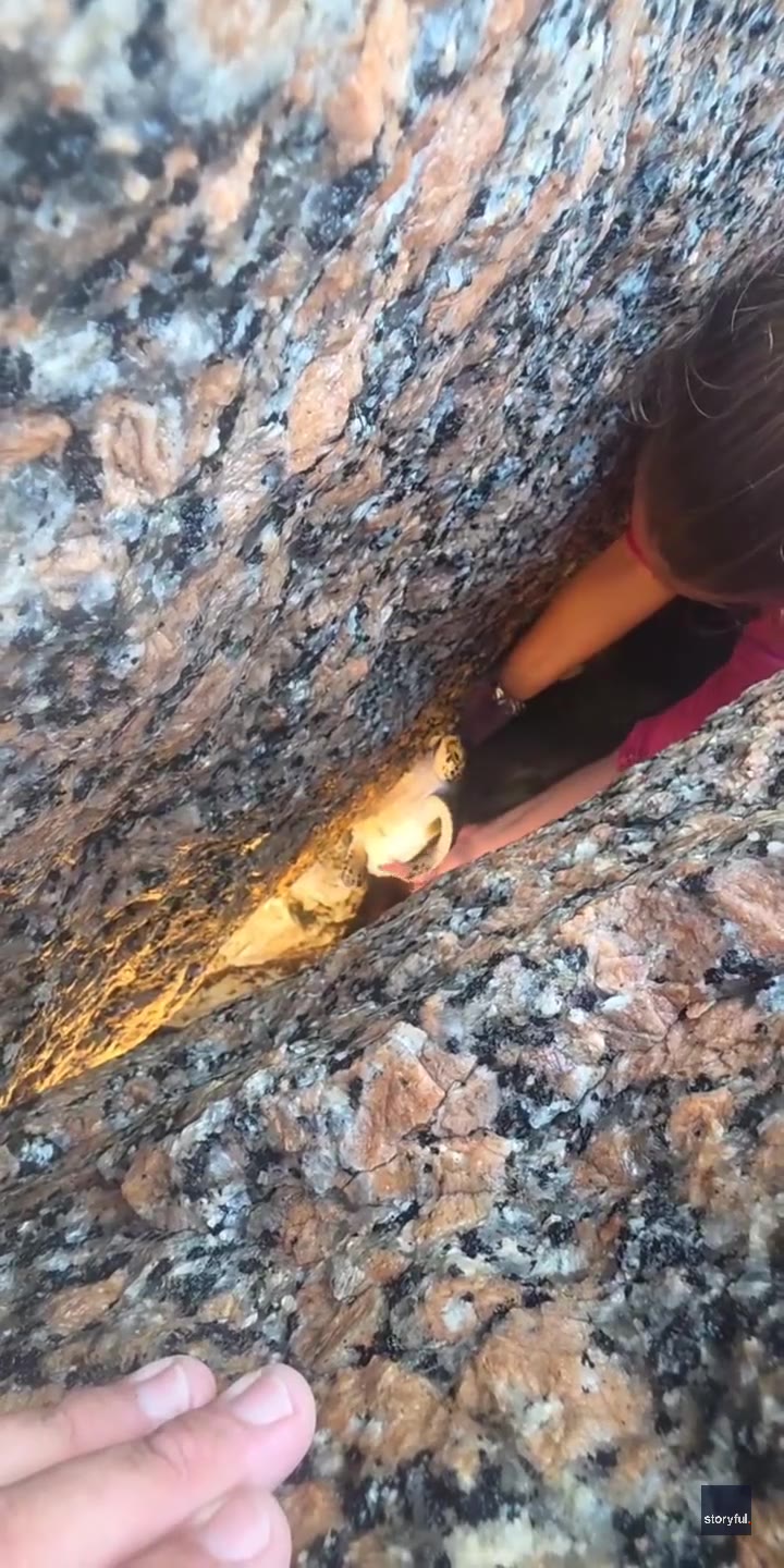 WATCH: Couple rescues sea turtle trapped on Texas coast