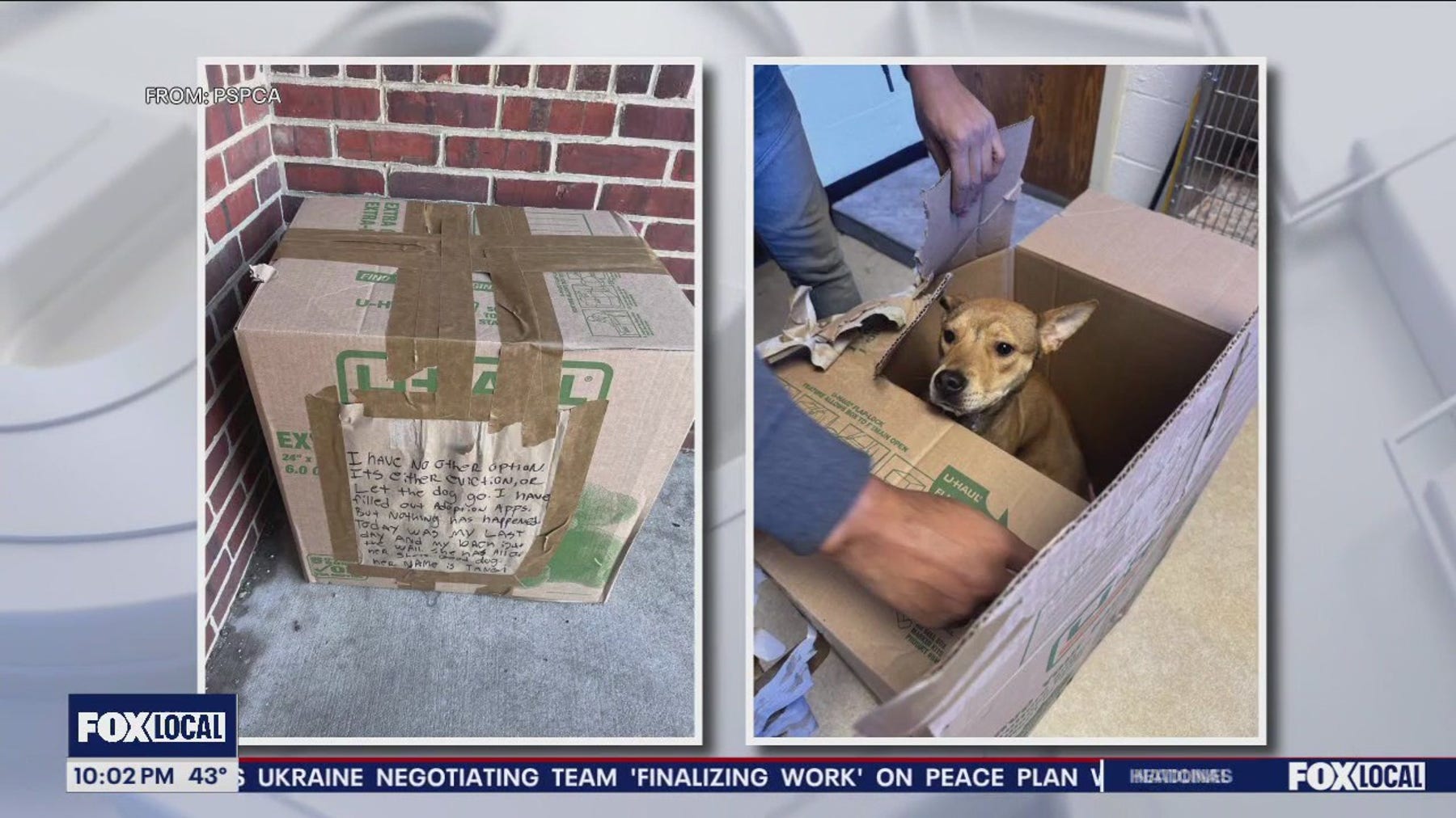 Puppy left in box outside SPCA with heartbreaking note