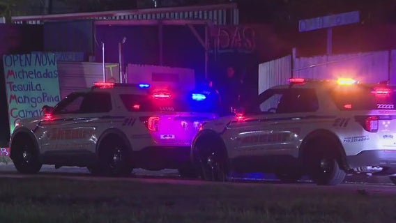 70 roosters rescued, 4 arrested in illegal gambling ring