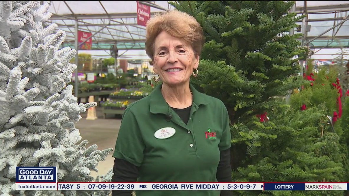Pike Nurseries helps you pick the perfect Christmas tree