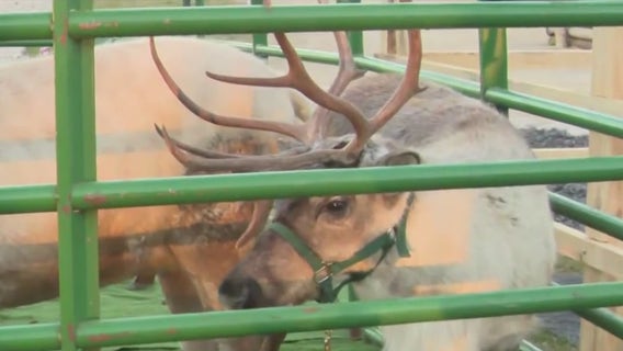 Reindeer Village at SoLu Estate Winery; enjoy sleigh rides and Santa