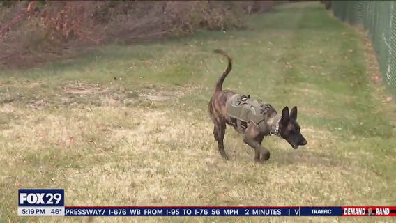 K9 officer helped to catch 2 men accused of breaking into cars in New Castle