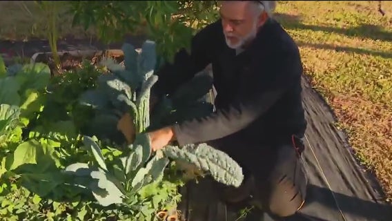 Good Day garden survives cold snap