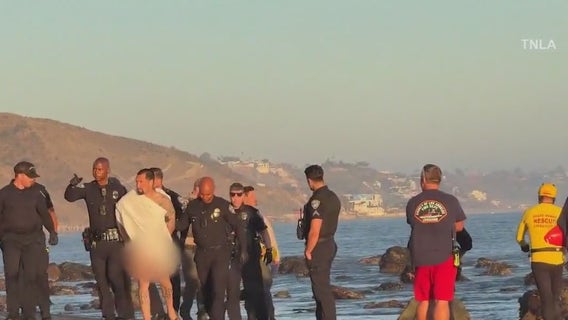 Naked carjacking suspect arrested