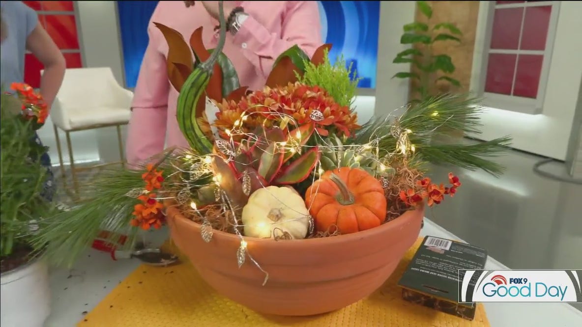 FOX 9 Good Day: Nov. 20, 2025