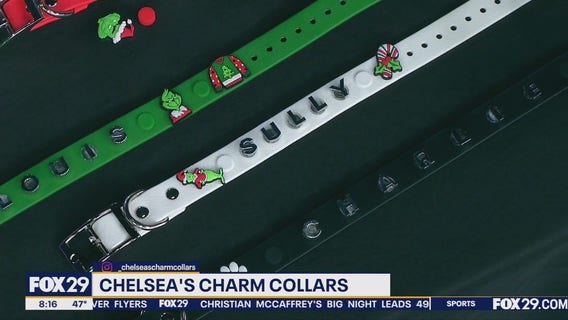 Chelsea's Charm Collars: Bling out your dog's custom collar with festive charms