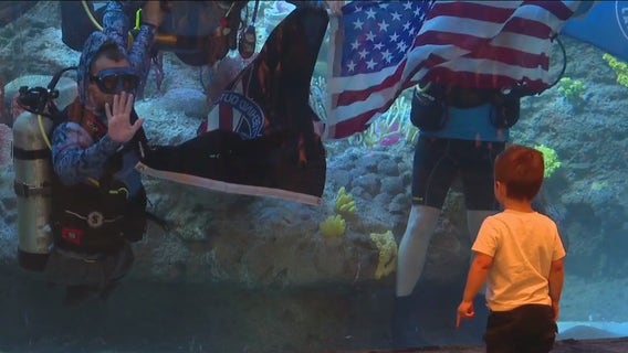 Combat Wounded Warrior Challenge Dive at Mote Marine