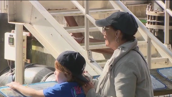 ZooTampa expands its Manatee Rescue Center