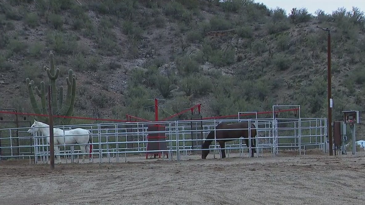 Equine herpes outbreak causing event cancellations in Arizona