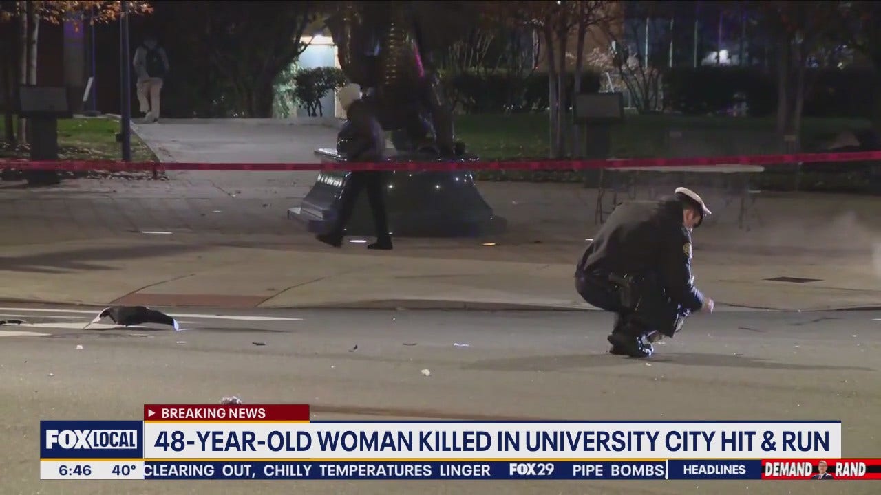 Woman killed in hit-and-run while walking to work with co-workers: police