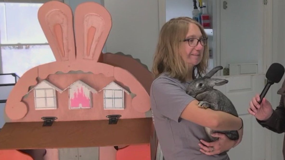 Georgia rabbit shelter gets a Zootopia 2-themed donation