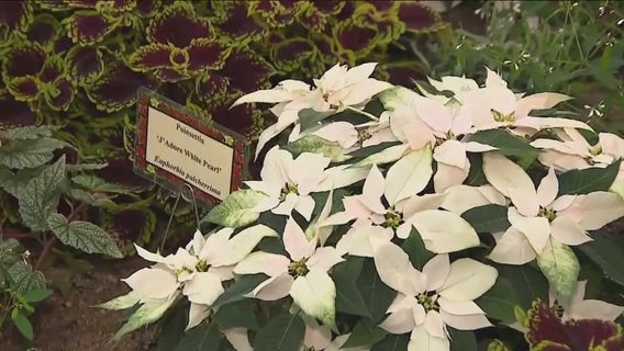 Mitchell Park Domes celebrates 'The 12 Days of Christmas'