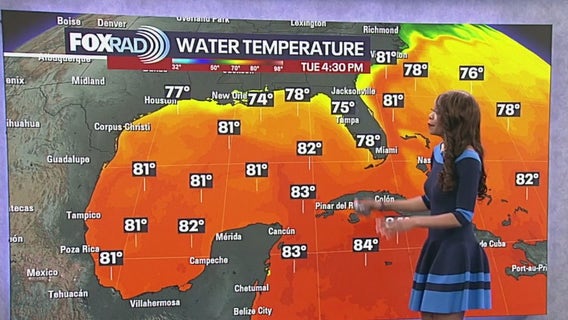 Tropical Weather Forecast - November 11, 2025