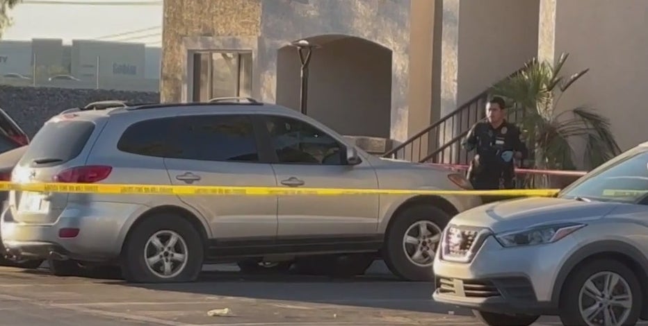 Woman found shot inside Avondale apartment: police