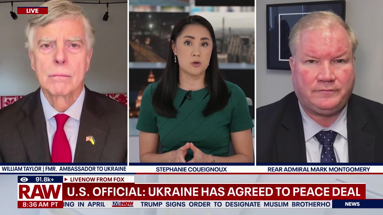 Ukraine peace deal made with Russia, US official says