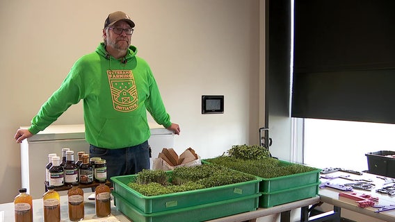 Helping veterans heal through farming