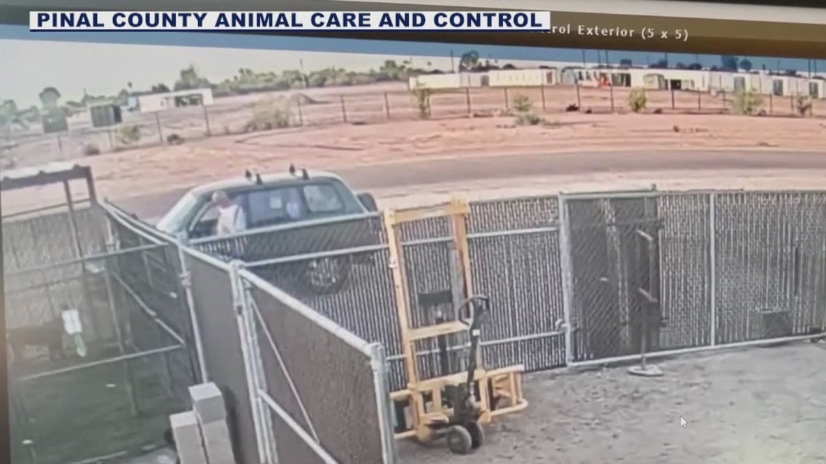 Man seen abandoning dog behind Pinal County animal shelter