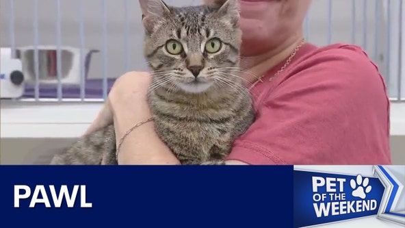 Adopt Pawl at WCRAS