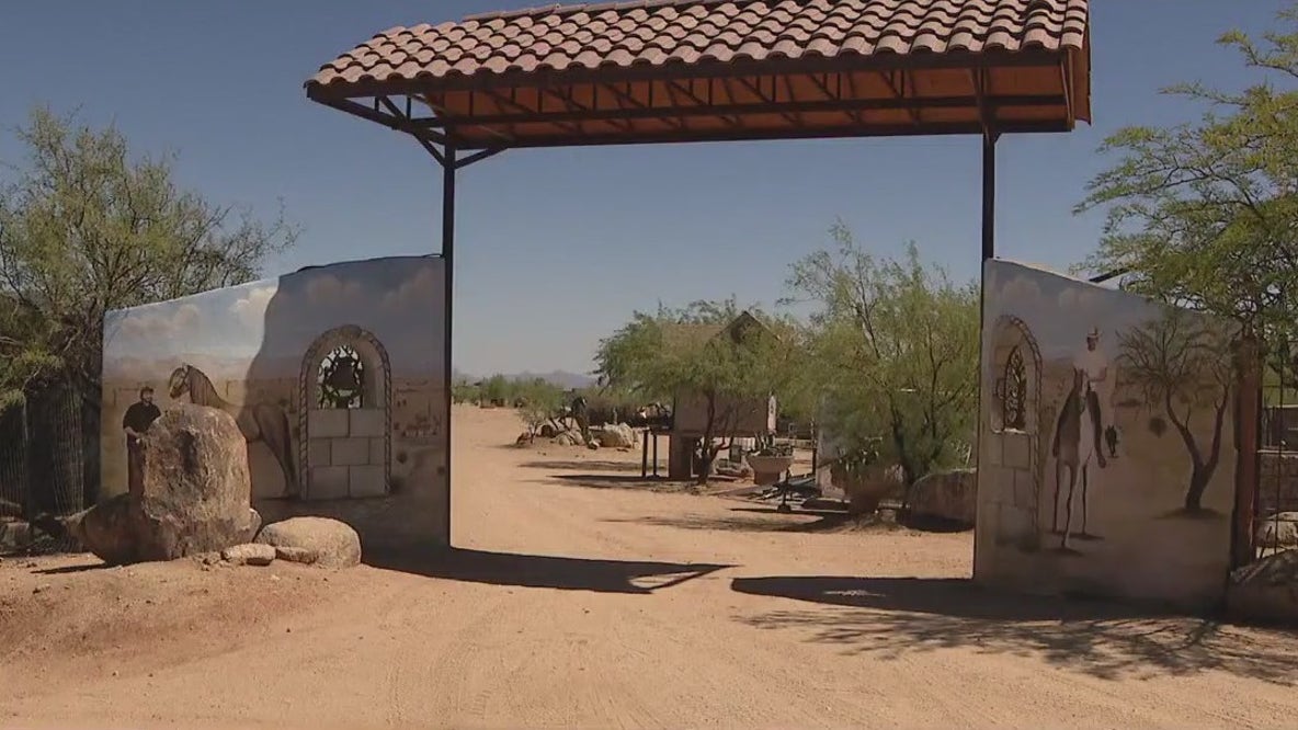 Exotic animals rescue: No arrests announced yet