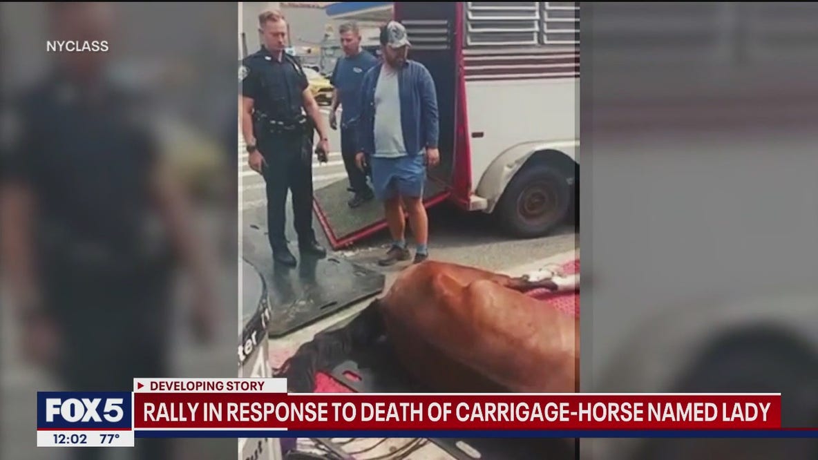 Rally held in response to death of carriage horse