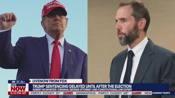 Trump sentencing delayed until after election