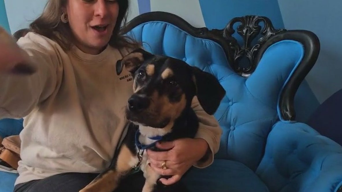 Support for pet owners impacted by SNAP cuts