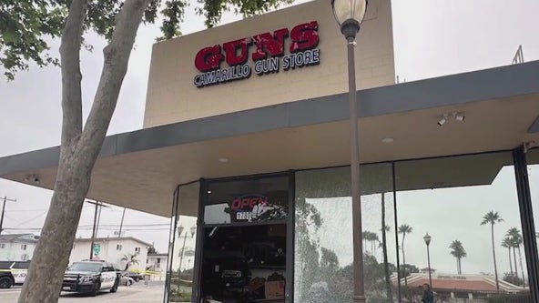 Stolen car rams into gun shop