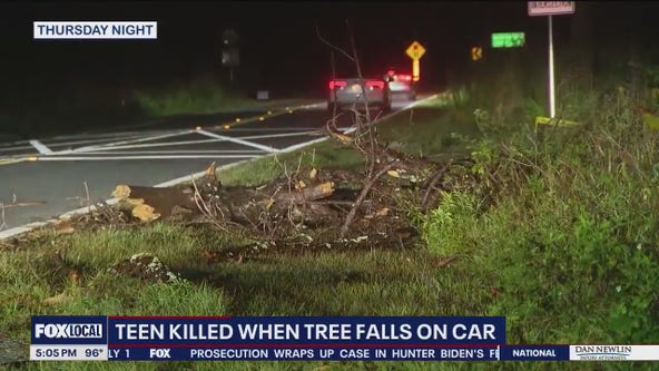 Teen killed when trees fall onto moving car