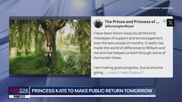 Kate Middleton, Princess of Wales gives update on cancer treatment