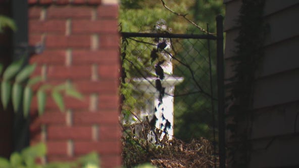 Dogs left to die and decompose in abandoned Detroit home