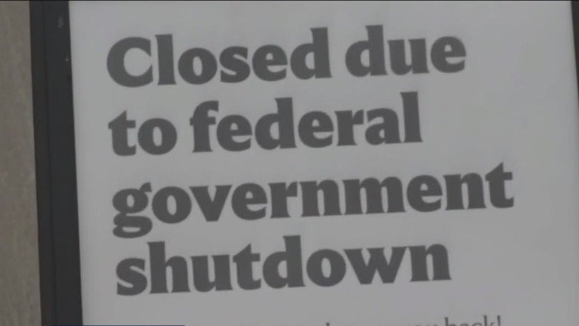 Government shutdown and Election 2025