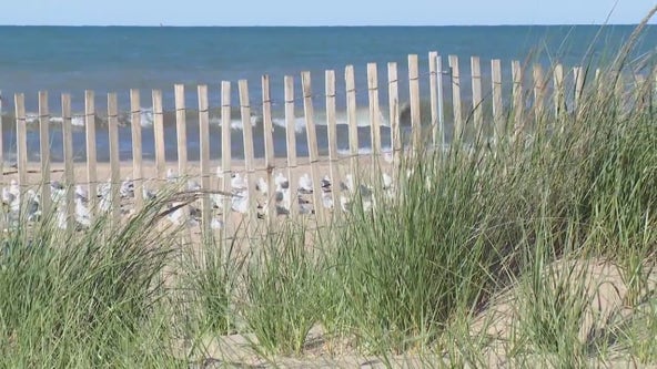 'Please take the fence down': Controversy surrounds Wilmette beach's newest addition