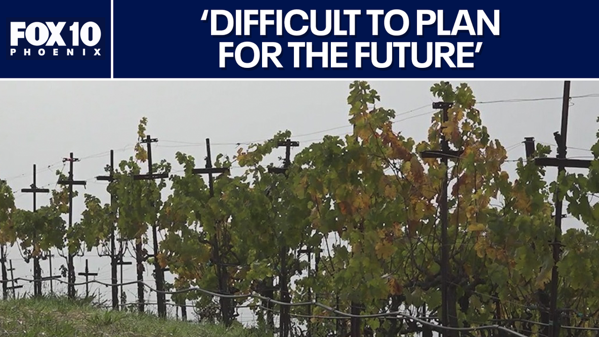 Wine industry faces growing uncertainty over tariffs