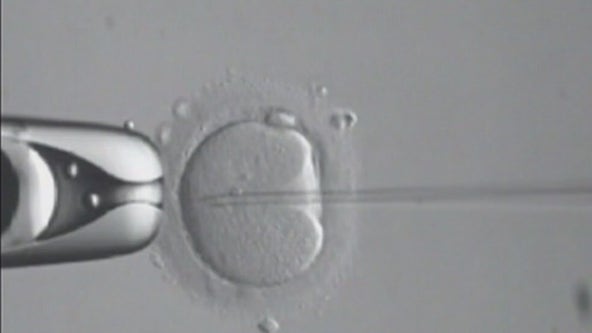 Senate rejects Right to IVF Act for the second time this year