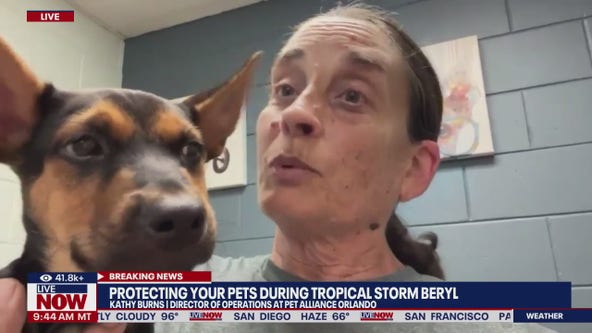 Protecting your pets this hurricane season
