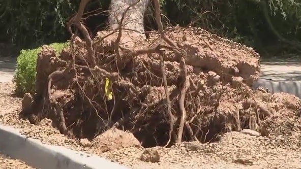 Storm damage in Phoenix after latest monsoon