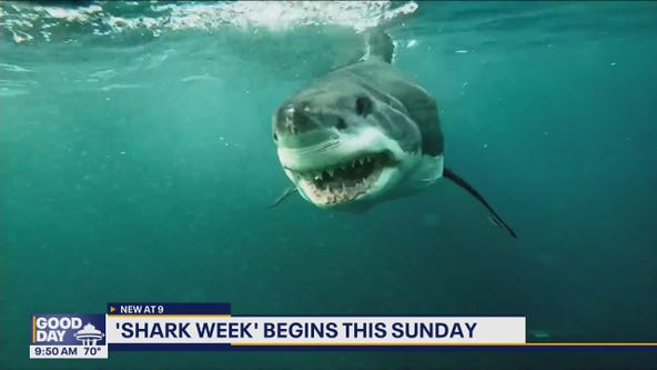 Shark Week Preview