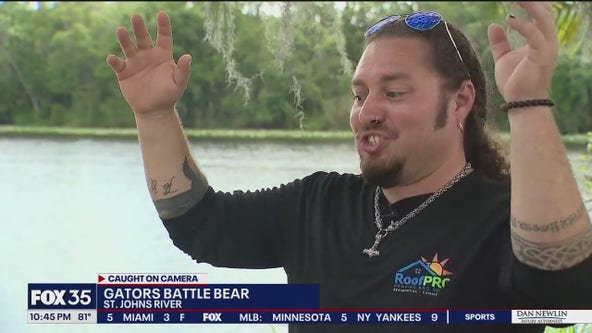 VIDEO: Florida man witnesses bear fight with 2 alligators