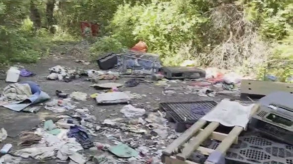 Volunteers clean up abandoned homeless camp