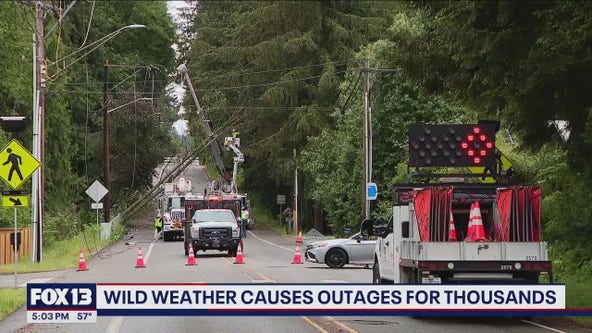Wild weather knocks out power for thousands
