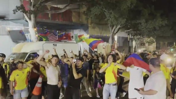 Large brawl breaks out after Copa America final