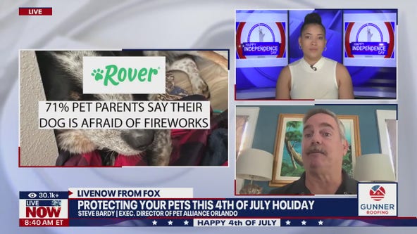 Protecting your pets this 4th of July holiday