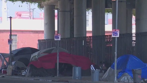 LA holds 'homeless summit'