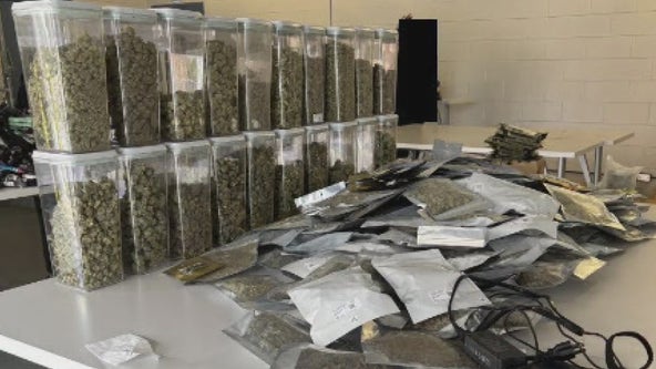 15-year-old steals $100K worth of weed products in Royal Oak, gets caught