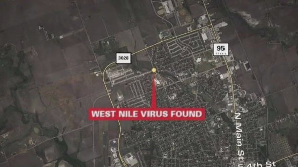 West Nile virus found in Taylor
