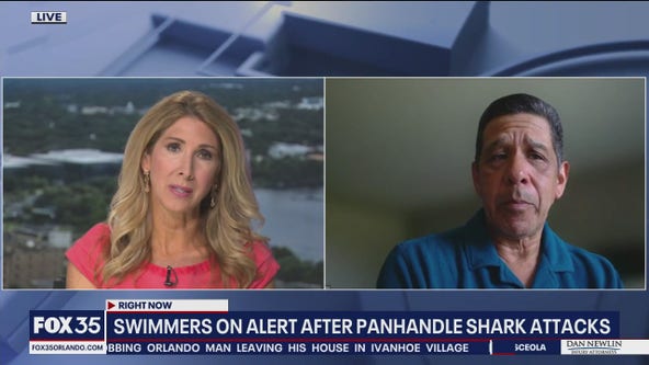 Shark expert gives insight on recent Florida panhandle attacks