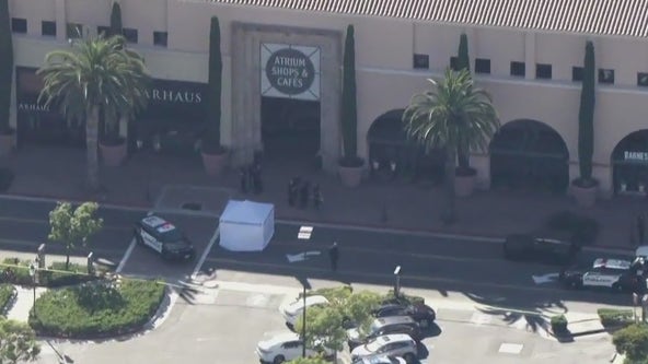 Woman killed at Orange County mall