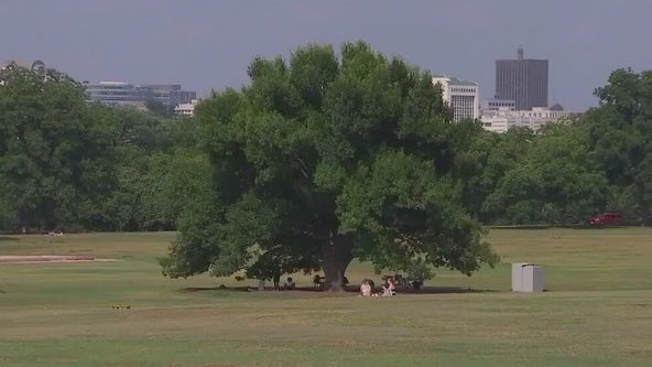 Zilker Park, Barton Springs Pool updates