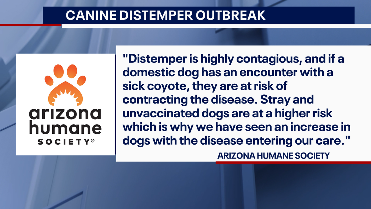 Canine distemper cases on the rise in the Valley